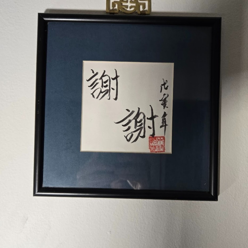 Framed Chinese Calligraphy Art – "謝" (Gratitude/Thanks) – Handwritten with Artis